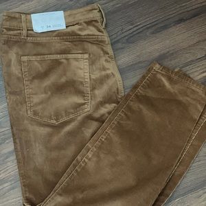 Loft corduroy straight leg pant